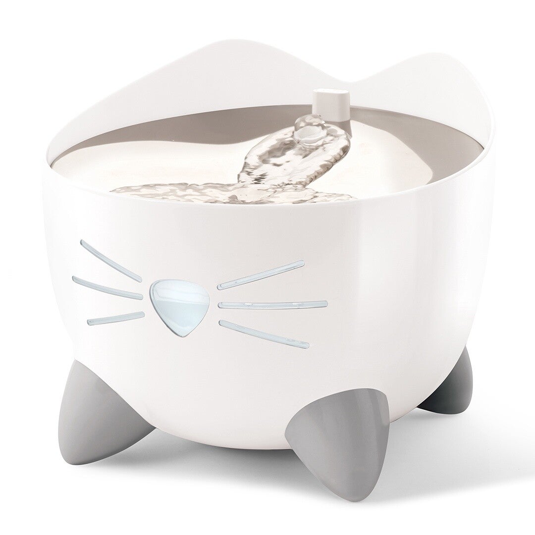 CA Pixi smart fountain