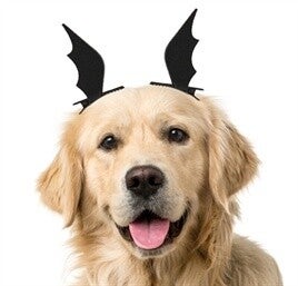 Haarklem Vleermuisvleugel 2 st