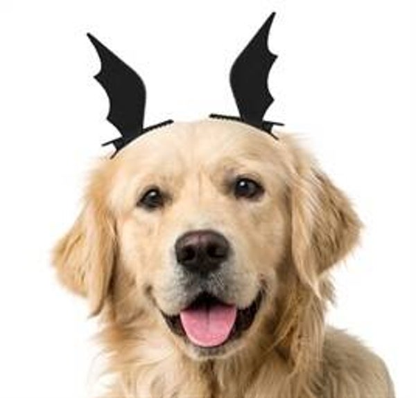 Haarklem Vleermuisvleugel 2 st