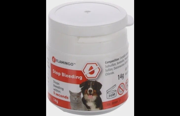 BLOEDSTELPEND POEDER DALKO 14gram