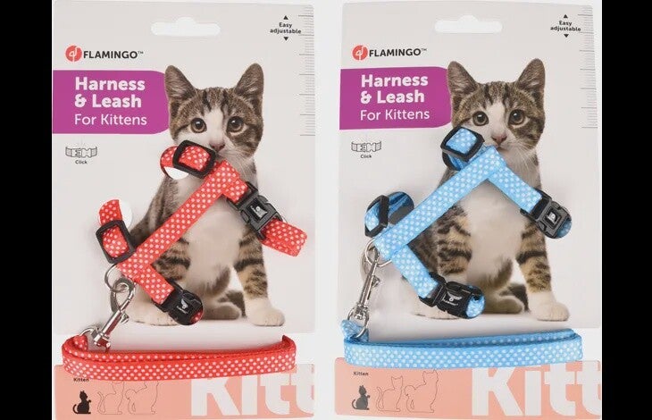 HARNAS MET LOOPLIJN VOOR KITTENS AIWA 15-25CM X 10MM