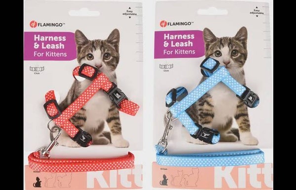 HARNAS MET LOOPLIJN VOOR KITTENS AIWA 15-25CM X 10MM