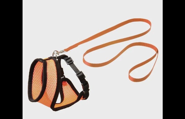 HARNAS MET LOOPLIJN VOOR KITTENS HARMS ORANJE & ZWART 110CM X 10MM