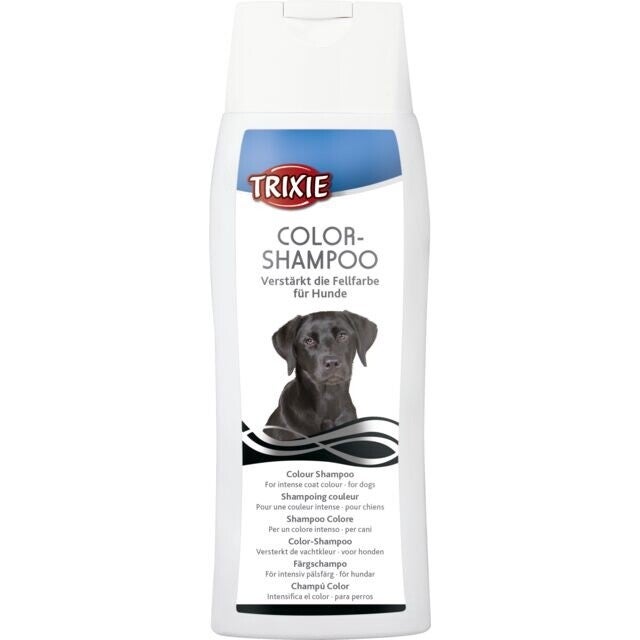 Color-Shampoo 250ml