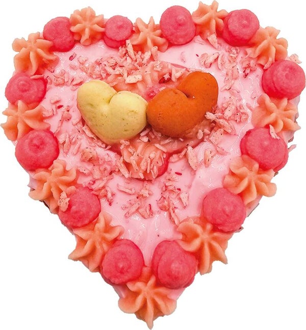 Small Dog Valentine Cake 125 gram