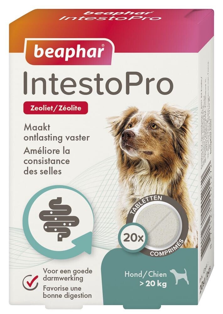 Intestopro Tabletten Hond M/L 20st