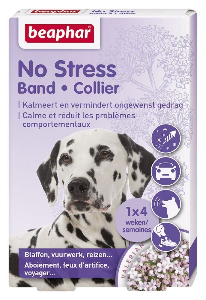 No Stress Band Hond