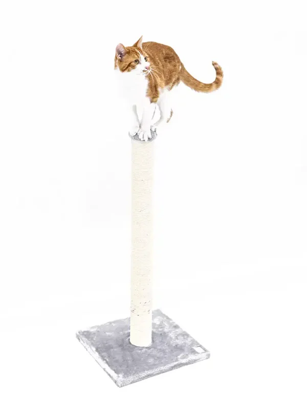 petrebels Krabpaal Maine 90 grijs