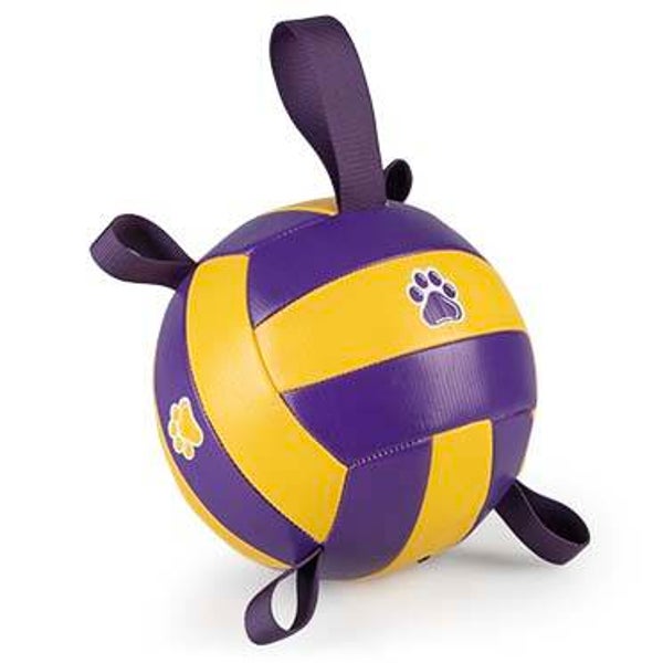 Volleybal met pomp Geel/paars 18,5cm