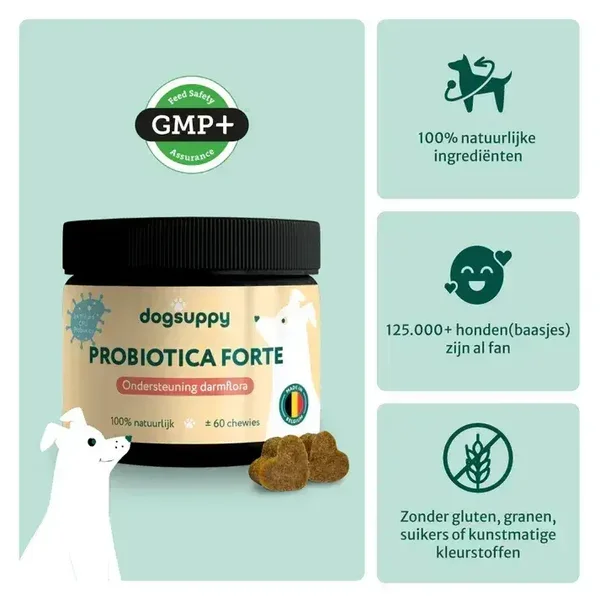 Probiotica Forte | Voor een optimale darmgezondheid | 60 snoepjes Zonder vlees/insectenmeel