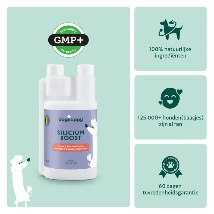 Silicium Boost | Draagt bij aan gezonde gewrichten | 100% Natuurlijk | 250 ml