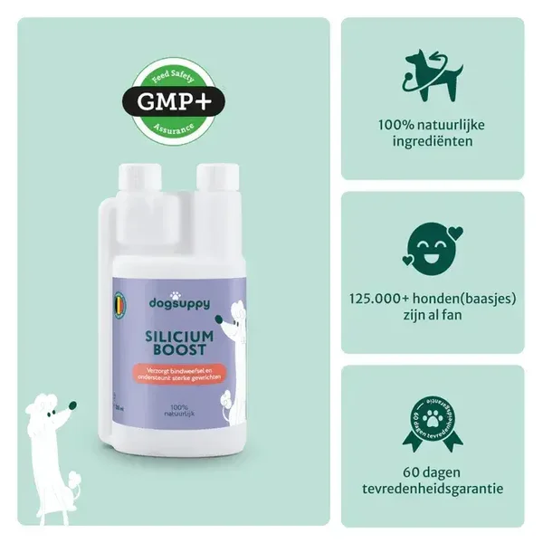 Silicium Boost | Draagt bij aan gezonde gewrichten | 100% Natuurlijk | 250 ml
