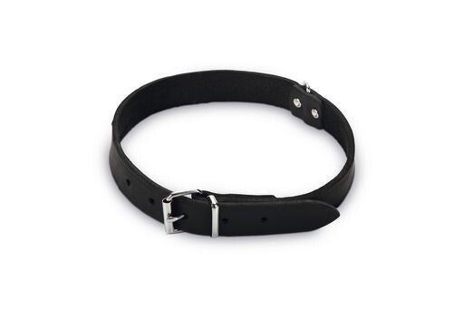 Beeztees - Halsband Hond - Leer - Zwart - 47-57 cm x 25 mm