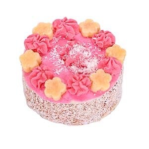 Small Dog Cake pink Frozen 150gr