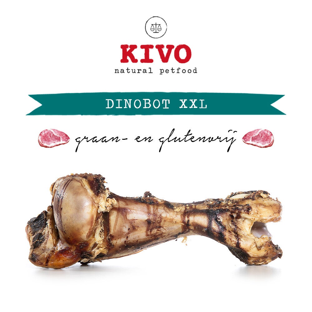 Dino XXL kivo bot