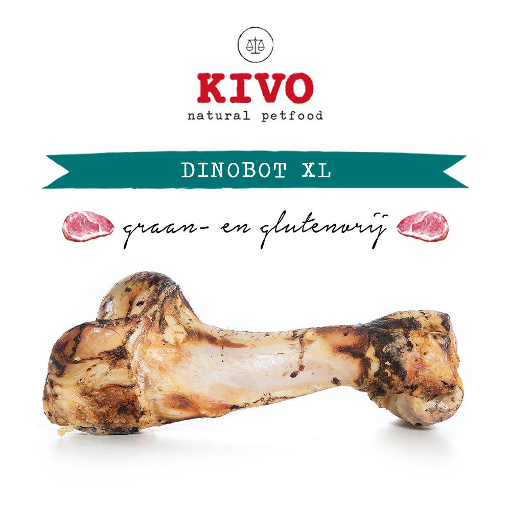 Dino XL Kivo bot