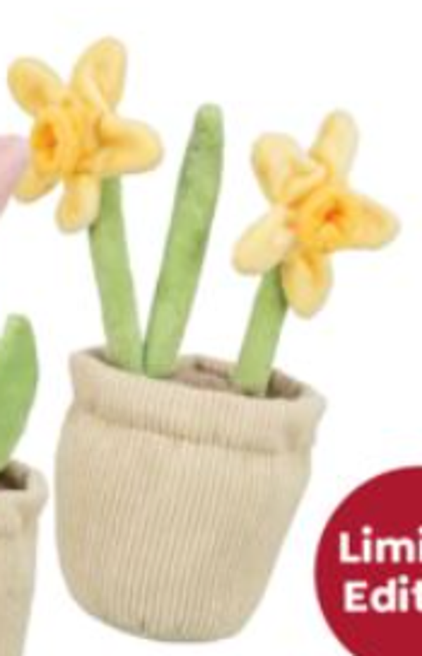 Narcis pluche 25cm