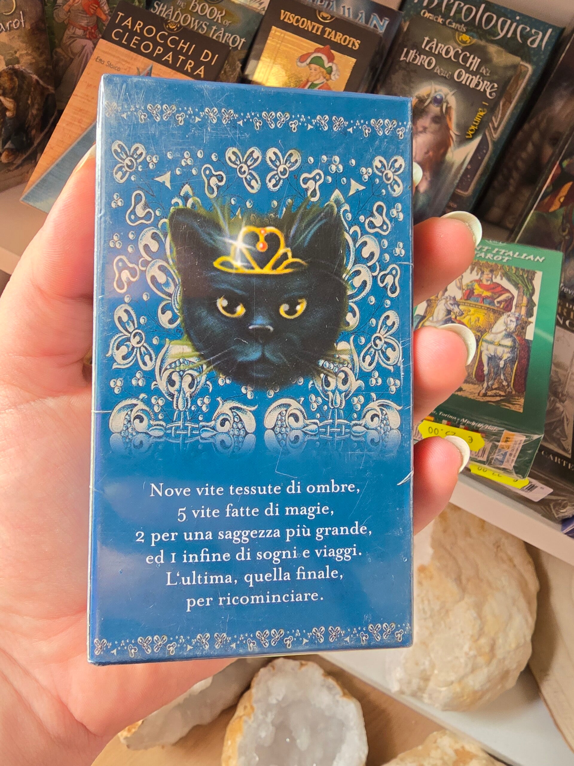 Tarocchi dei gatti neri
