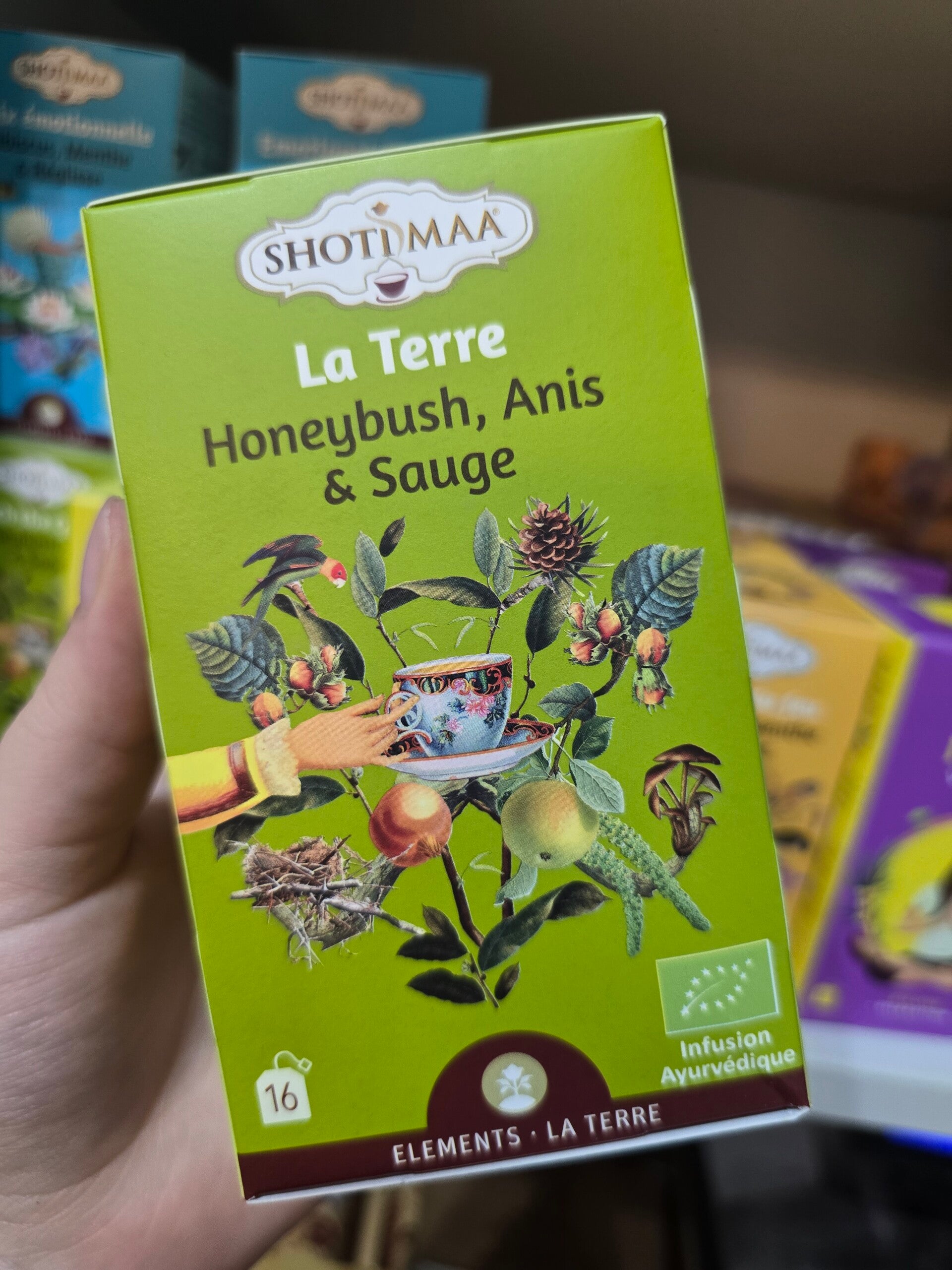 Tisana Bio anice e honeybush
