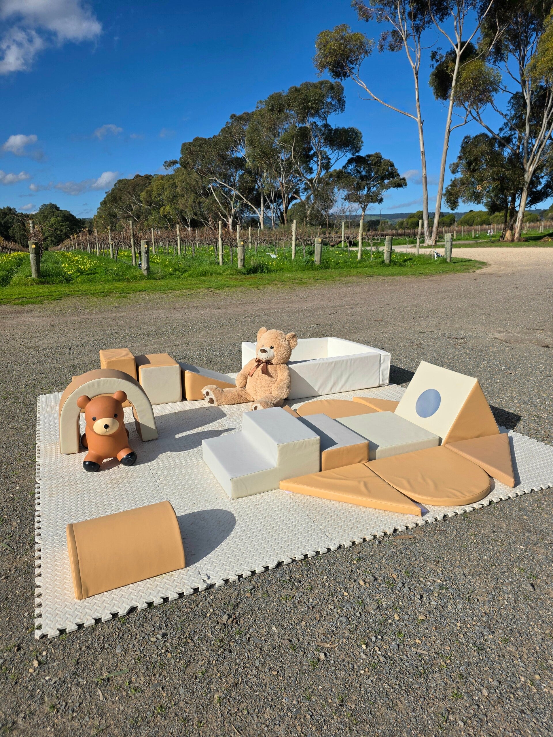 Teddy Luxe Soft Play Package