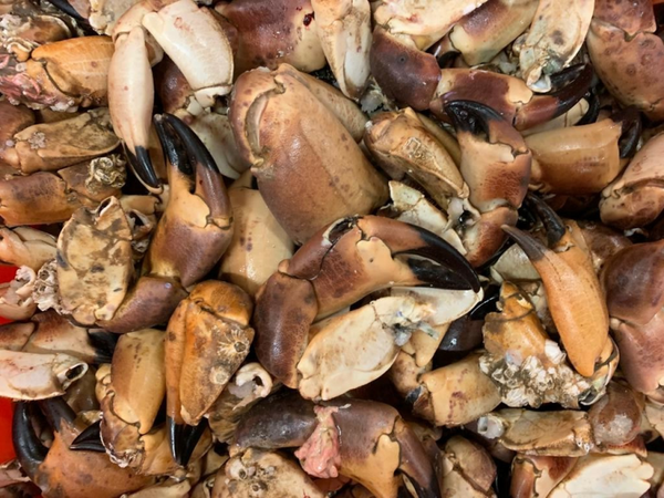 Krabbepoten/ Krabscharen