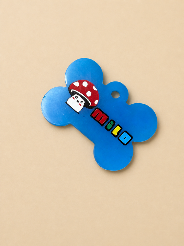 Mario Inspired Pet Tag