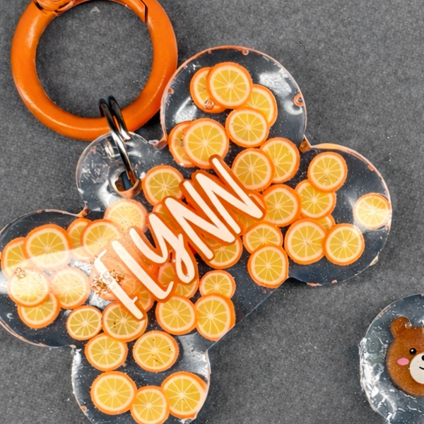 Orange Pet Tag