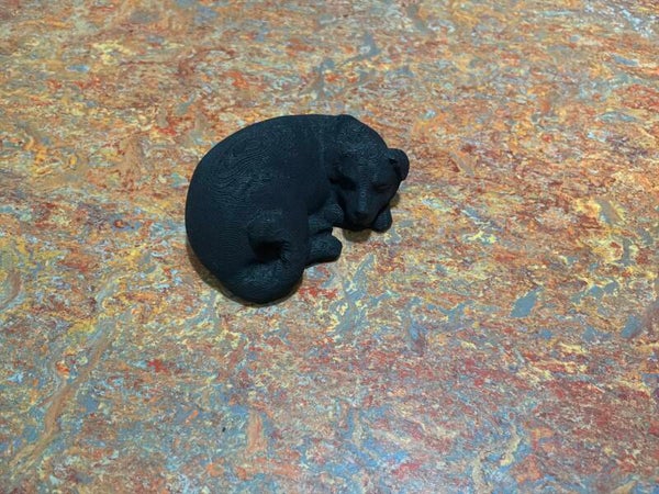 Slapende hond