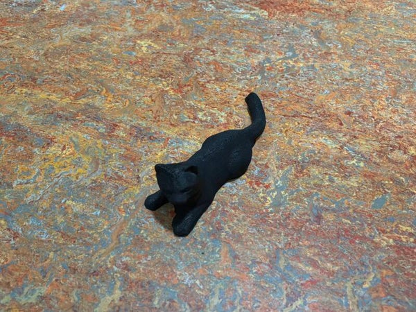 Spinnende kat