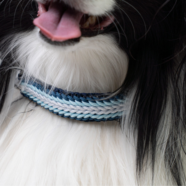 Halsband Sunny Mini