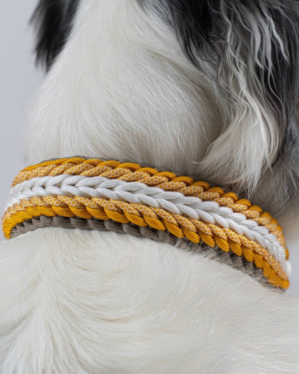 Halsband Sunny