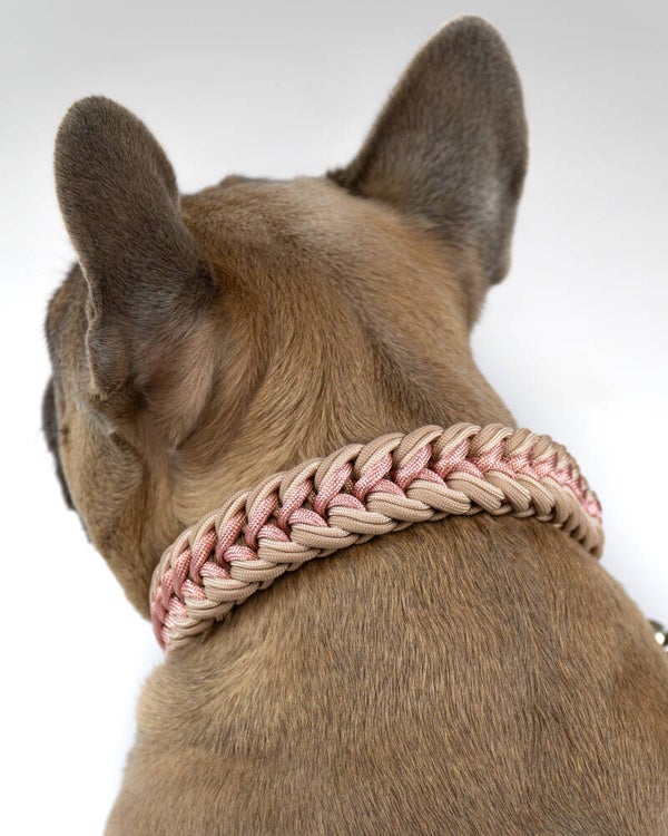 Halsband Tulip
