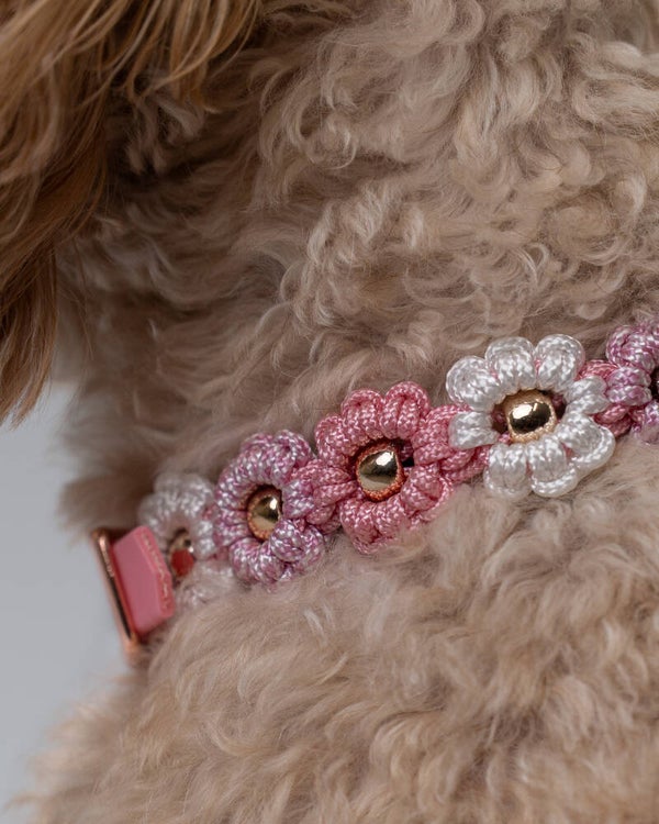 Halsband Flower Power Mini