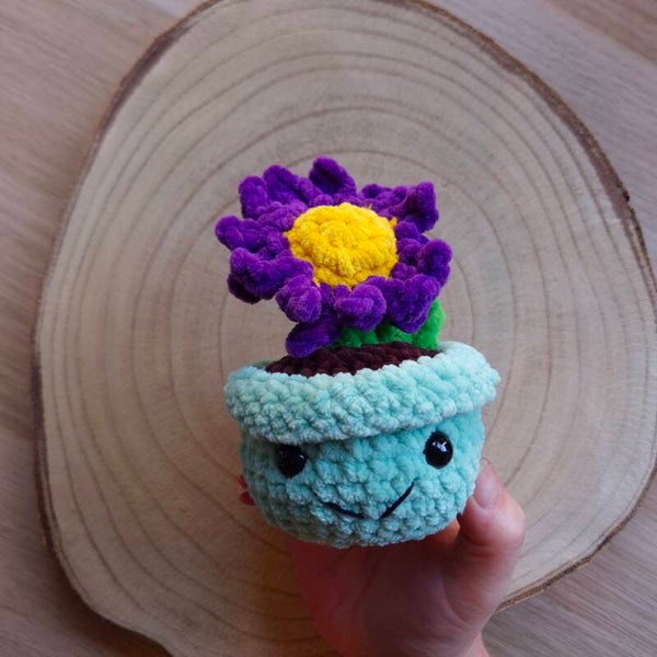 plant in pot