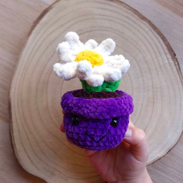plant in pot