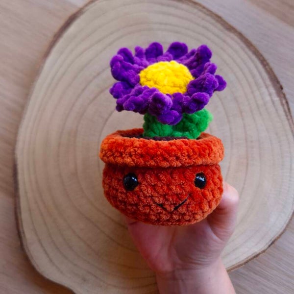 plant in pot