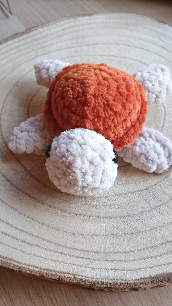 kleine zeeschildpad roest