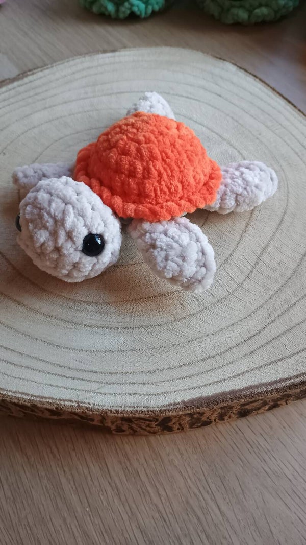 kleine zeeschildpad oranje