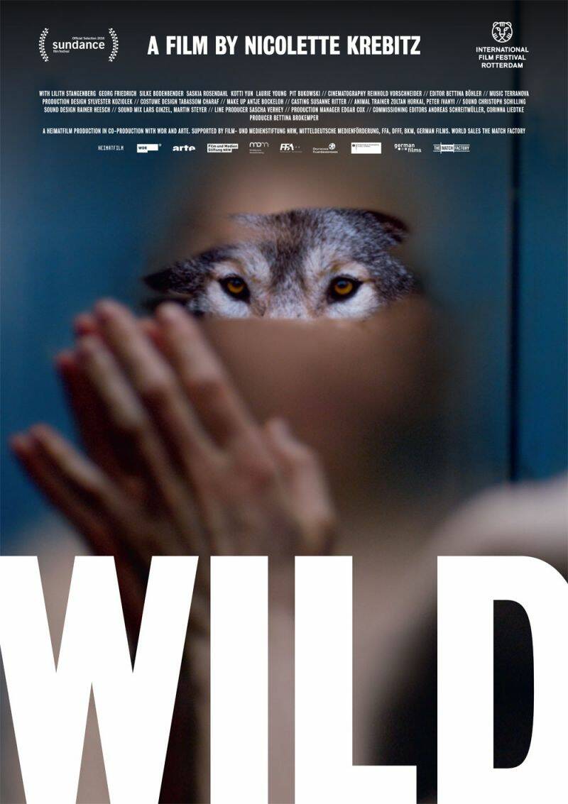 Poster: WILD - 2016