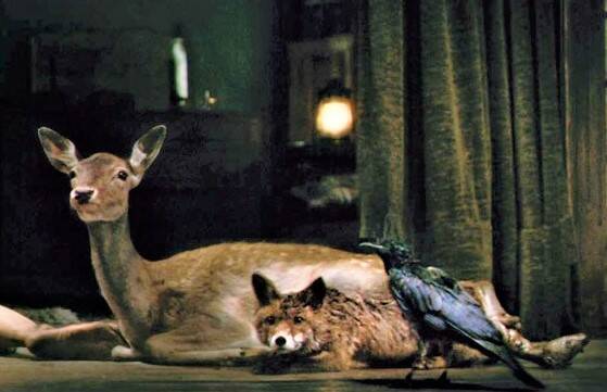 Antichrist - 2009: (foto) Three Beggars 