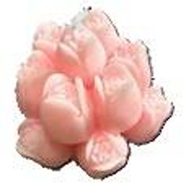 Tulip Bouquet Candle