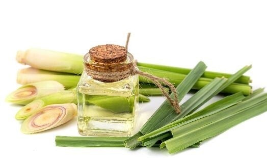 Huiles Essentielles Bio 100% pure - Citronnelle de Java