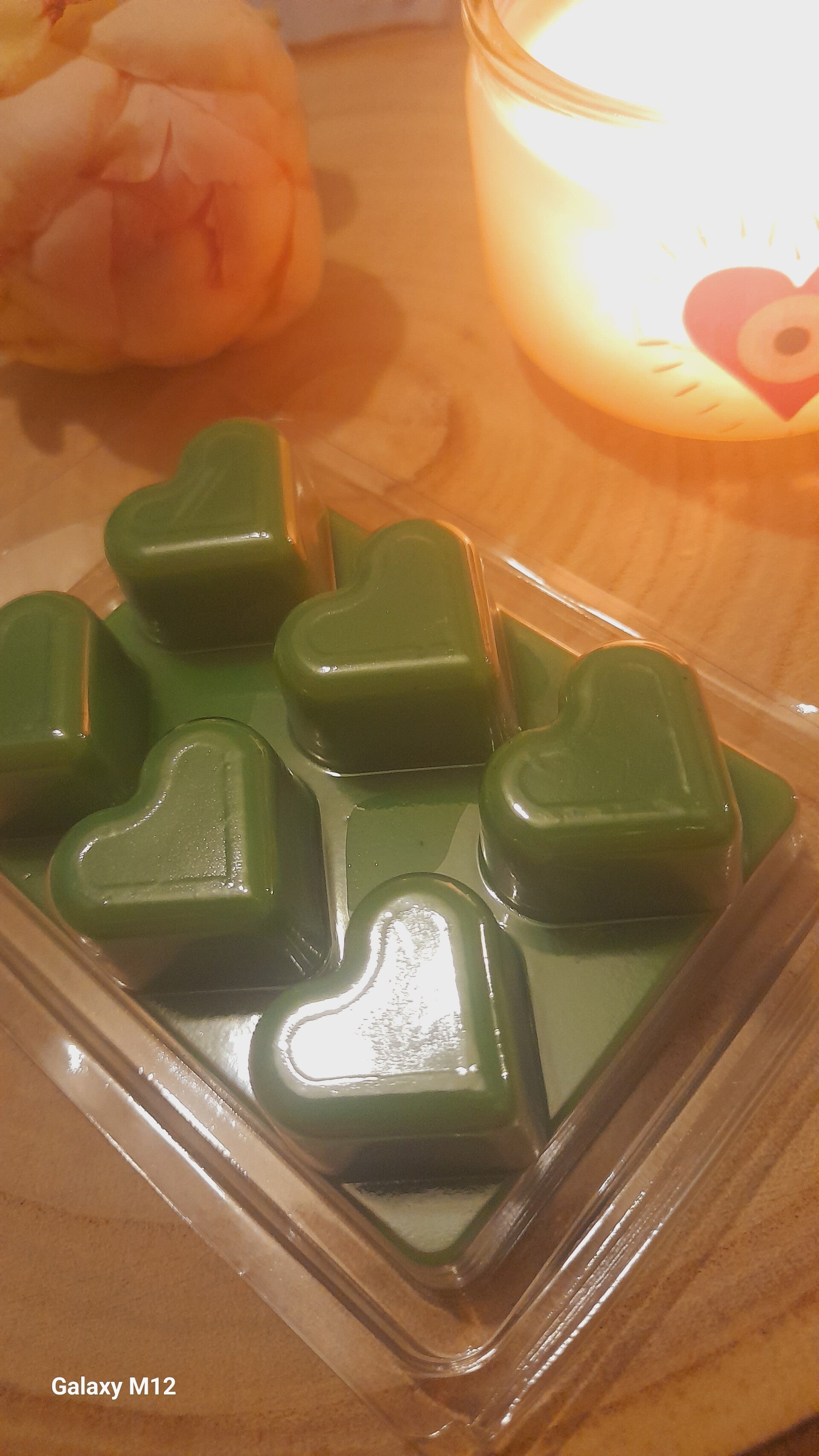 Tablette fondant Jungle