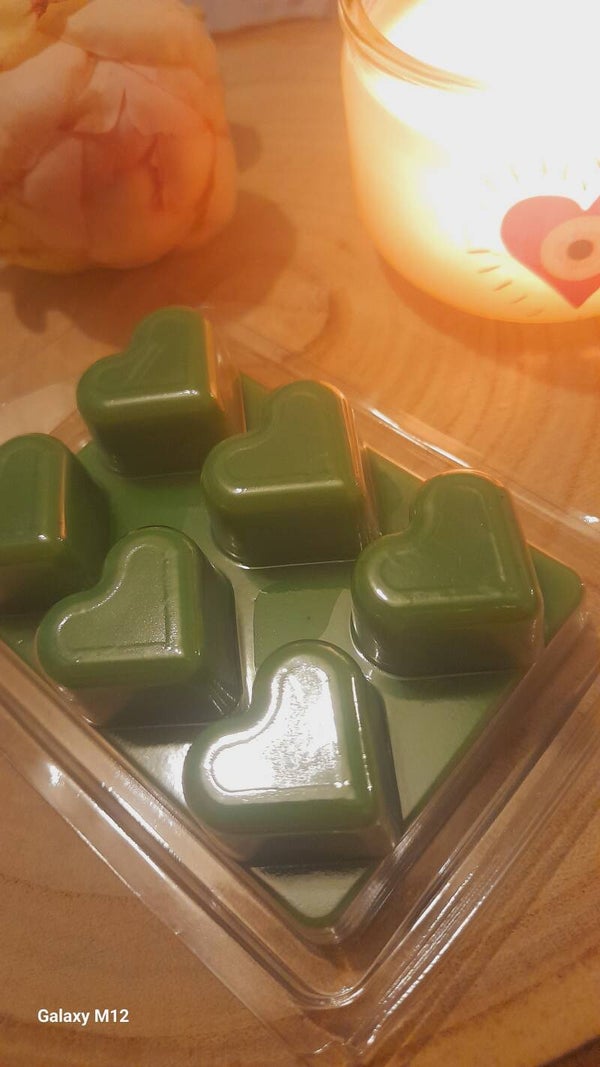 Tablette fondant Jungle