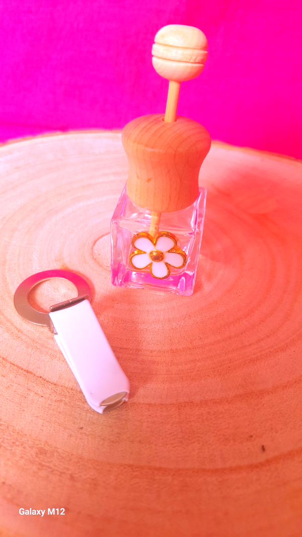 Diffuseur voiture à clip