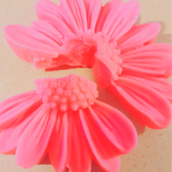 Fondant anti gaspi Marguerite framboise caramel