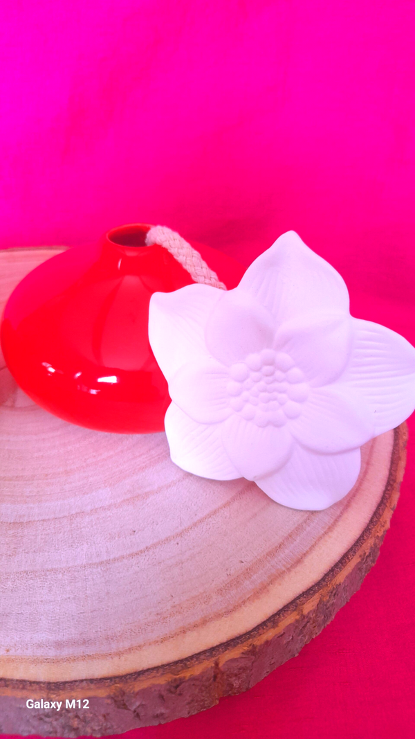 Diffuseur narcisse par capillarité