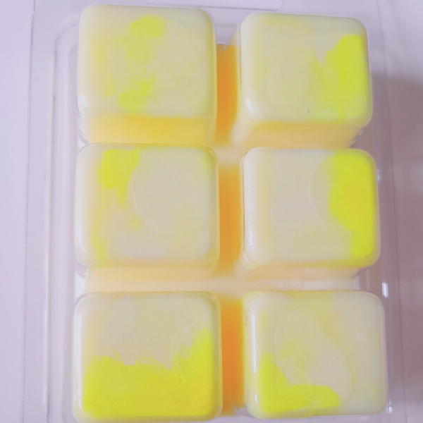 Tablette fondant anti moustiques
