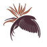 Birds of Paradise Ink