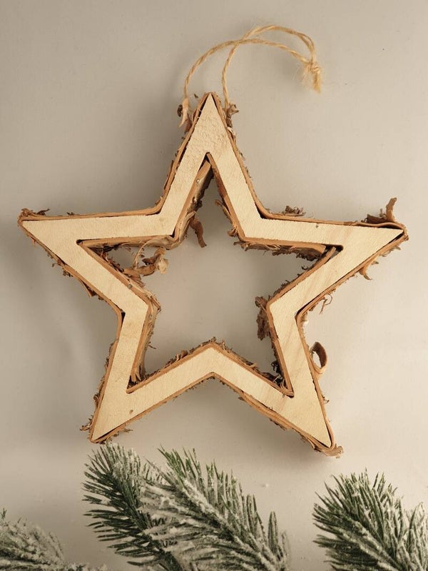 Kerstster (berkenhout)